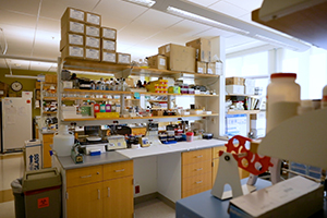 Biomedical Sciences Cancer Center